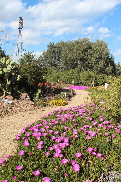 El Jardin De Los Suenos Rodalquilar Dış mekan fotoğraf
